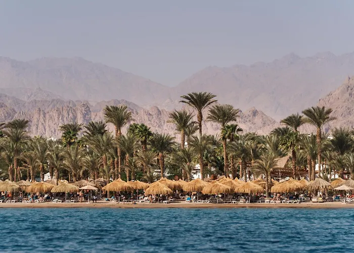 Jaz Sharm DreamsAlbergo